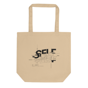 DIICA EC8000 — SHIFT