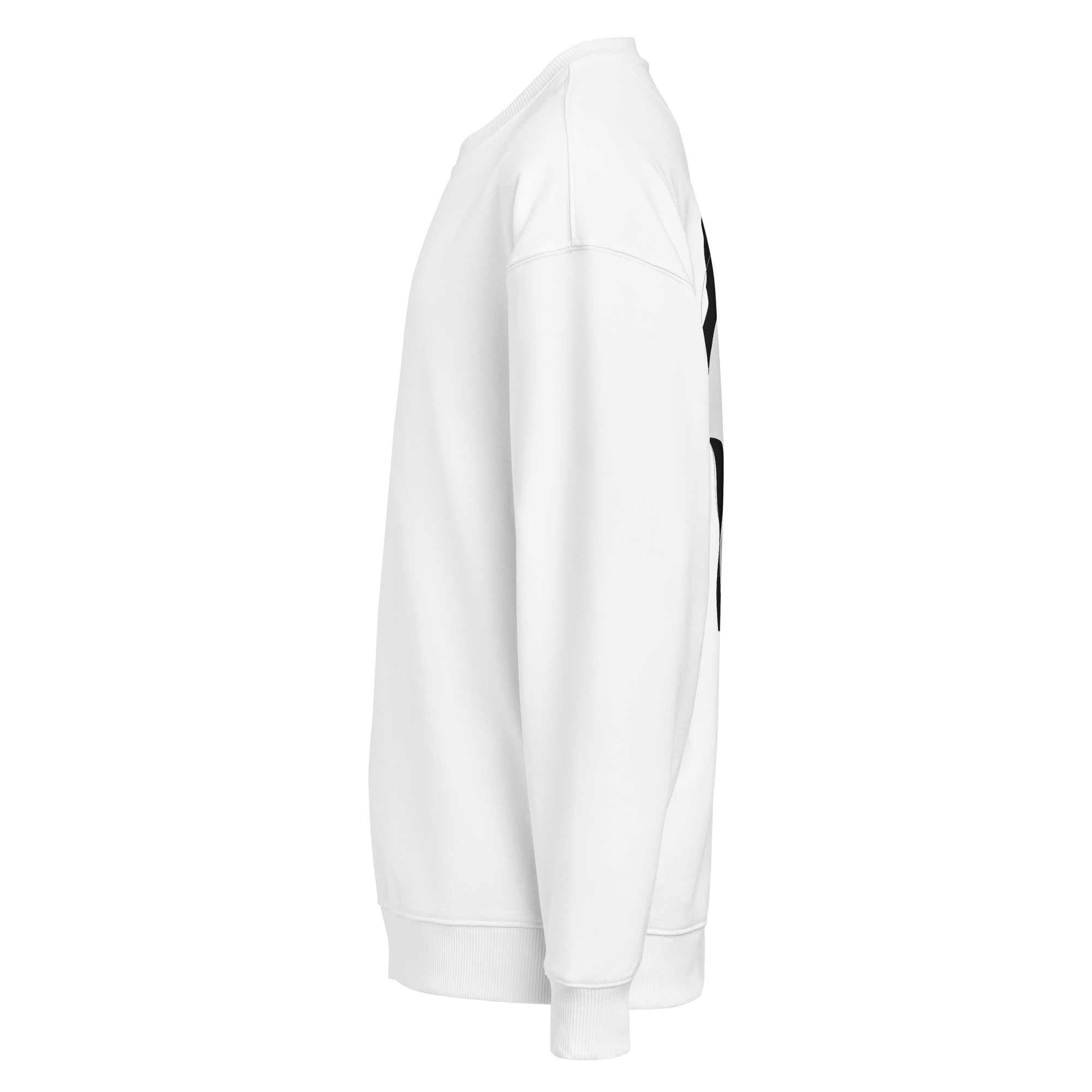 DIICA Radder 2.0 — LAYERS OF SELF — HIM, white: vista lateral.